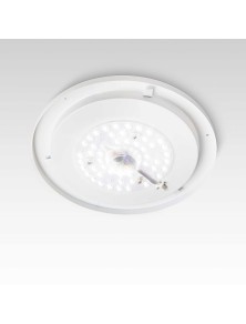 LEVEL PL D40, luz de techo, Ideal Lux