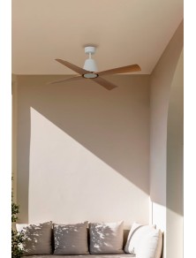 TYPHOON LED, Ventilateur avec Lumière, Faro Barcelona